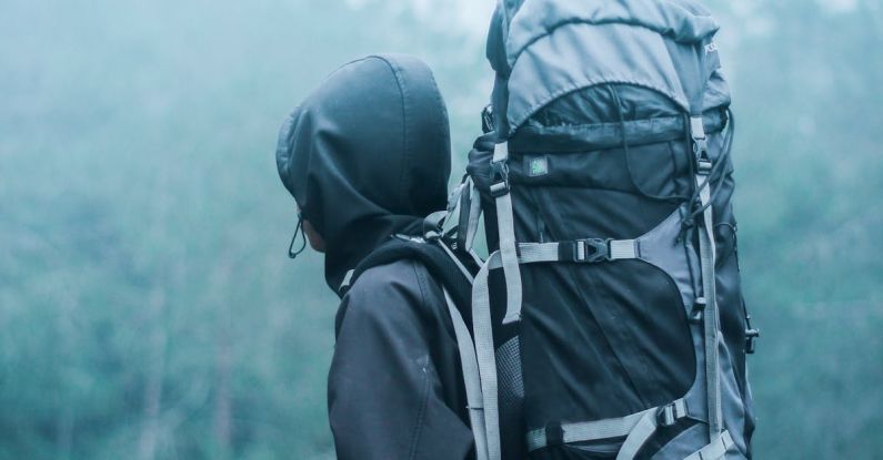 Travel Carrier - Man Wearing Black Hoodie Carries Black and Gray Backpacker Near Trees during Foggy Weather