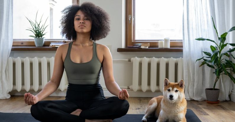 Happy Pet - Free stock photo of afro, afro hair, animal