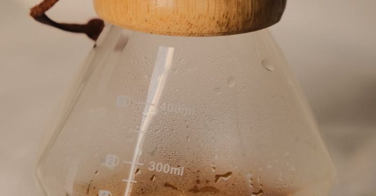 Brewing Kit - A coffee maker with a wooden handle and a glass lid