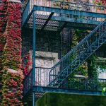 Overgrown Garden - Blue Metal Ladder