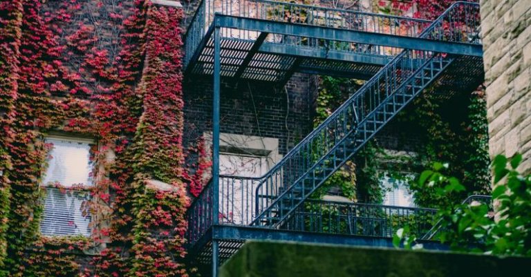 Overgrown Garden - Blue Metal Ladder