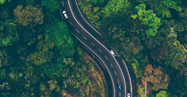 Road Map - Aerial View of Road in the Middle of Trees